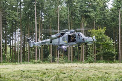 Salisbury Plain Training Area