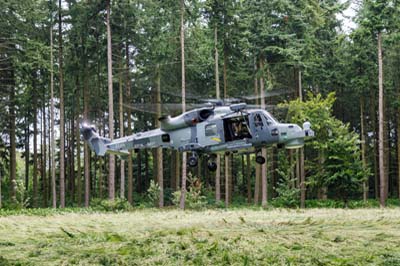 Salisbury Plain Training Area