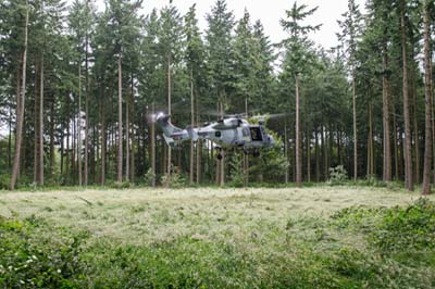 Salisbury Plain Training Area