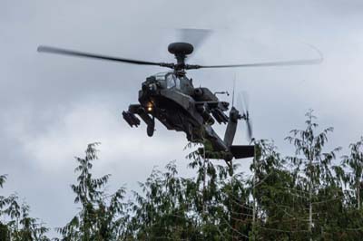 Salisbury Plain Training Area