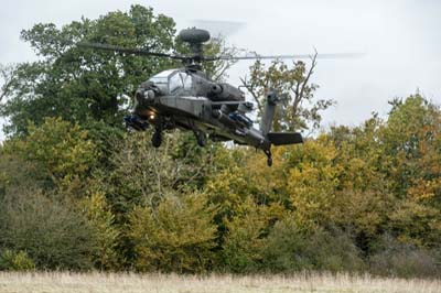 Salisbury Plain Training Area