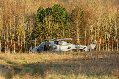 Salisbury Plain Training Area