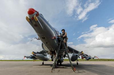 Harrier Heritage Centre