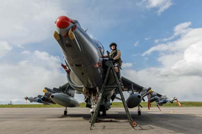 Harrier Heritage Centre