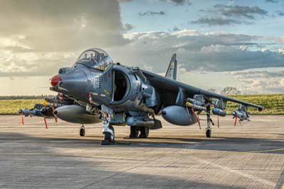 Harrier Heritage Centre