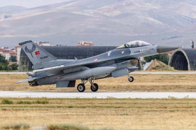 Anatolian Eagle Konya