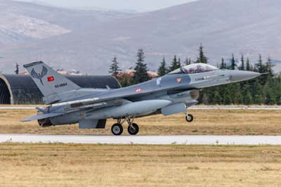 Anatolian Eagle Konya