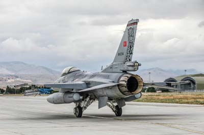 Anatolian Eagle Konya