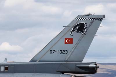 Anatolian Eagle Konya