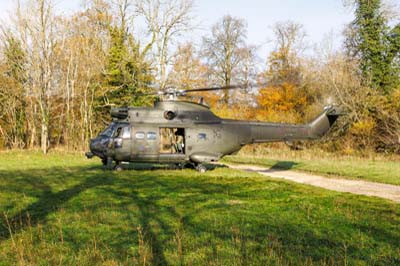 Salisbury Plain Training Area