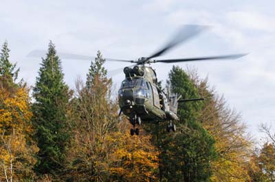 Salisbury Plain Training Area
