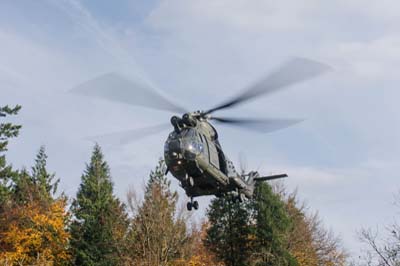 Salisbury Plain Training Area