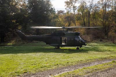 Salisbury Plain Training Area