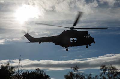Salisbury Plain Training Area