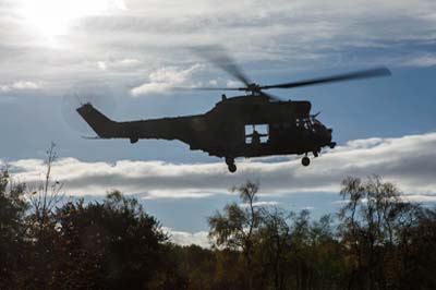 Salisbury Plain Training Area