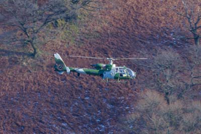 Aviation Photography low level flying