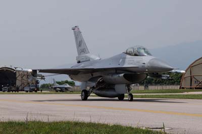 31st Wing, USAF, Aviano