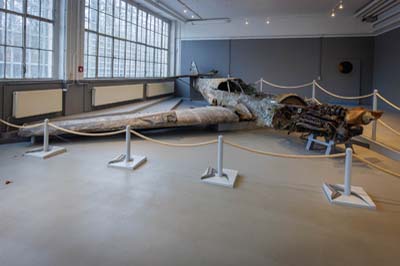 Military History Museum