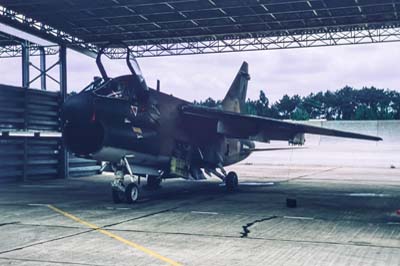 Portuguese Air Force Monte Real