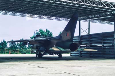 Portuguese Air Force Monte Real