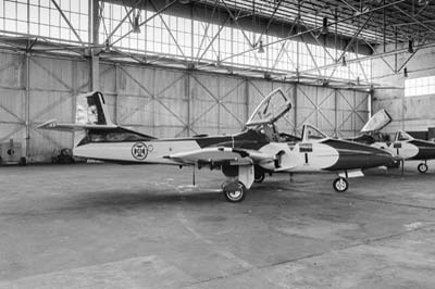 Portuguese Air Force Sintra