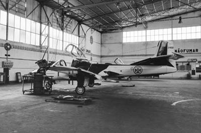 Portuguese Air Force Sintra