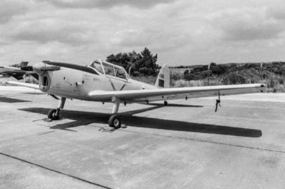 Portuguese Air Force Ota