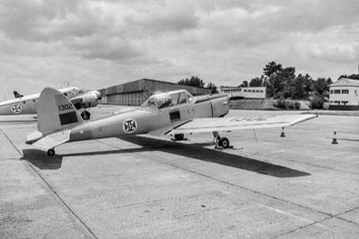 Portuguese Air Force Ota