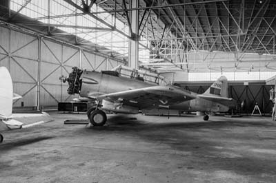 Portuguese Air Force Ota