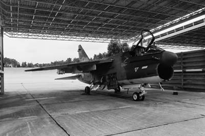 Portuguese Air Force Monte Real