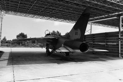 Portuguese Air Force Monte Real