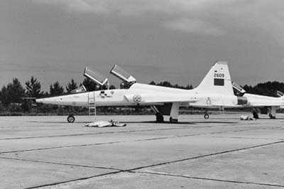 Portuguese Air Force Monte Real