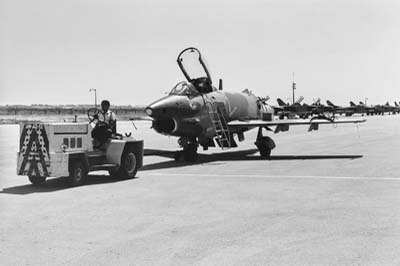 Portuguese Air Force Montijo