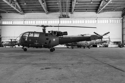 Portuguese Air Force Montijo