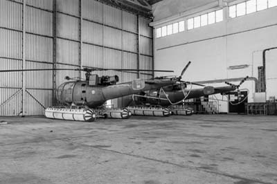 Portuguese Air Force Montijo